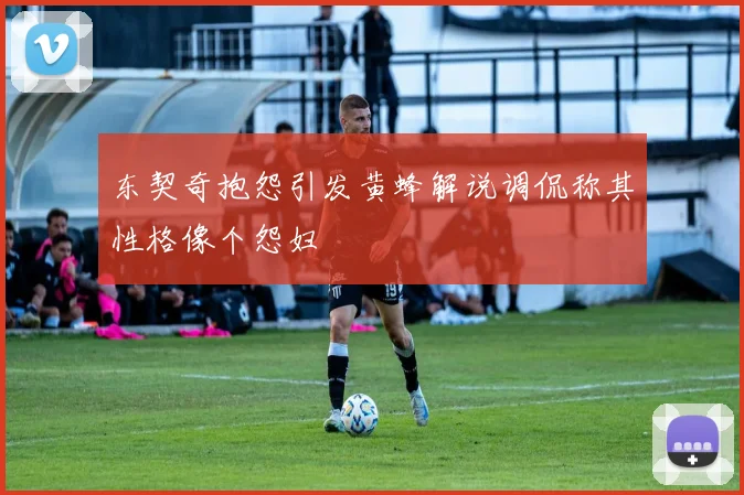 东契奇抱怨引发黄蜂解说调侃称其性格像个怨妇