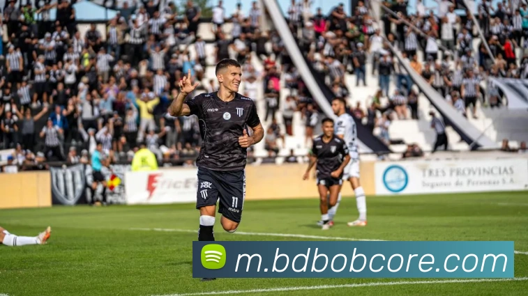 BOB半岛平台生态图